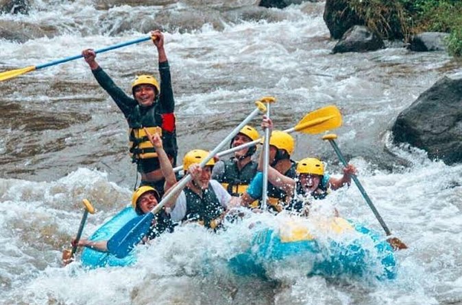 Excellence Bali ATV (Quad Bike) , White Water Rafting with Swing. - Who should book this Bali adventure?
