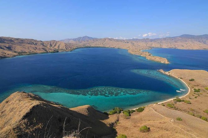 Exclusive Early Bird Komodo Tour: Beat the Crowds by Speed Boat - Padar Island and the climb to the famous view