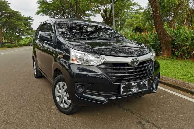 Experience The Real Bali, With Your Own Bali Private Car And Driver - Planning the day around one main area