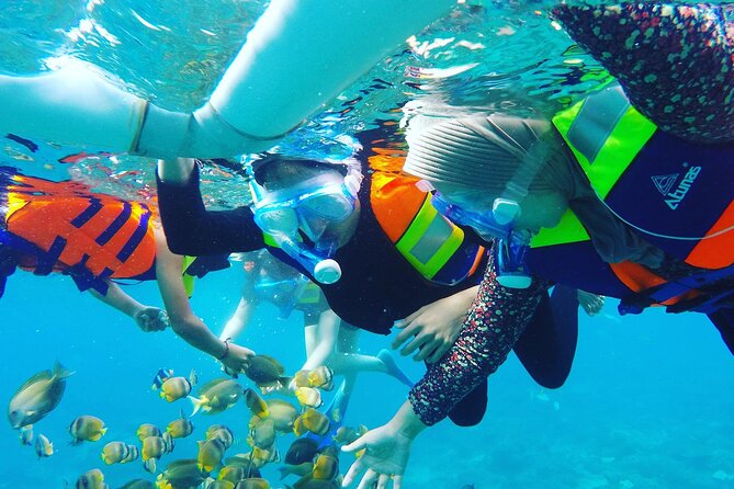 Explore 4 iconic snorkeling spots of Manta Bay in Nusa Penida - Four Nusa Penida stops, each with a different view underwater