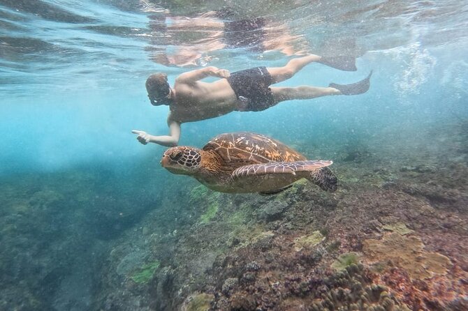 Explore 4 iconic snorkeling spots of Manta Bay in Nusa Penida - What is included, and what you still need to arrange