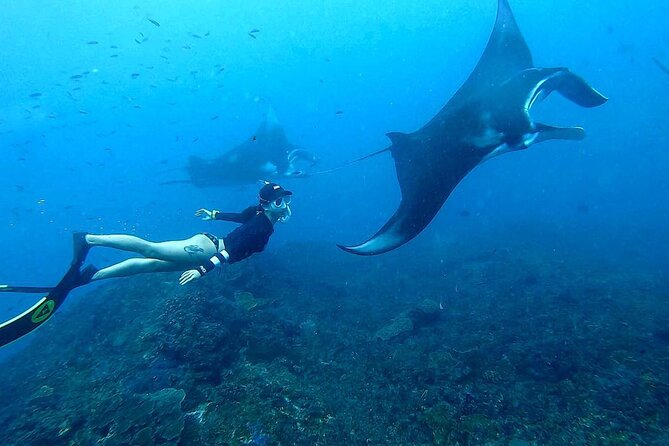 Explore 4 iconic snorkeling spots of Manta Bay in Nusa Penida - Who gets the best value from this experience