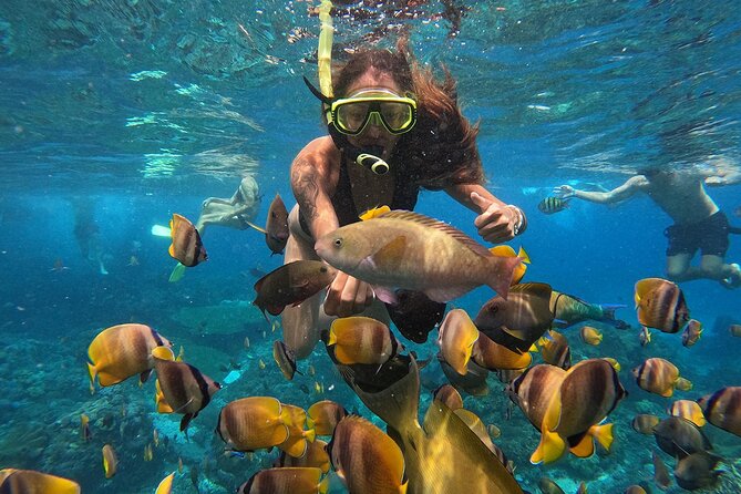 Explore 4 iconic snorkeling spots of Manta Bay in Nusa Penida - A practical plan for the meeting point and cancellation