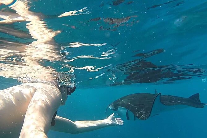 Explore 4 iconic snorkeling spots of Manta Bay in Nusa Penida - Should you book the four-stop snorkeling trip?