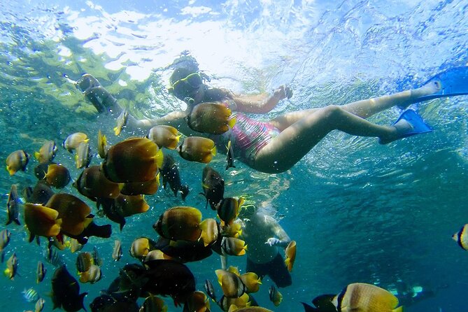 Explore 4 iconic snorkeling spots of Manta Bay in Nusa Penida - FAQ
