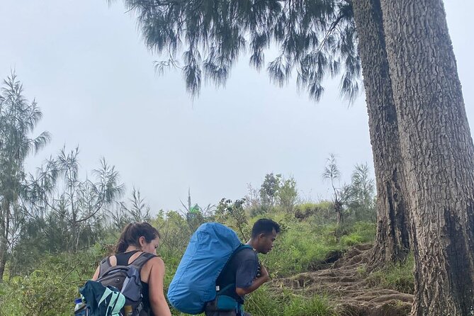 Explore Mount Rinjani To Summit, Lake & Hot Spring (3D 2N) - Guides, porters, and the level of support
