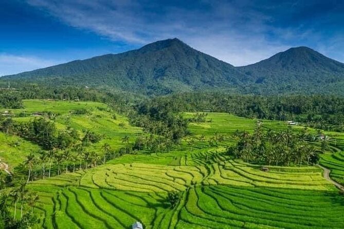 Explore Munduk Customized 8 Hour Day Tour in North Bali - Why a custom Munduk day works so well