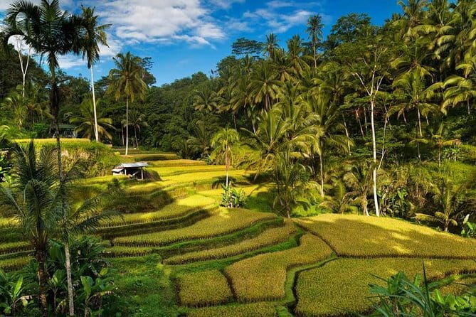 Exploring Bali in 3 Days: Discover Top Places in Bali - What $180 buys you across three long Bali days