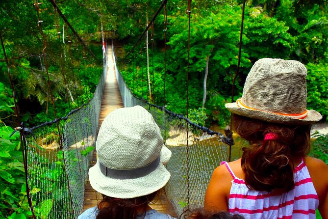 FAMILY JUNGLE TOUR: Orangutan Trek (4-hours hike) by EcoTravel Bukit Lawang - Walking into Gunung Leuser National Park
