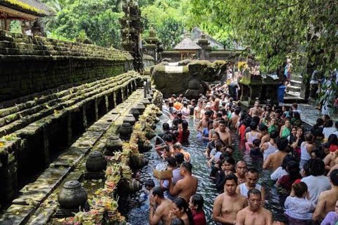 Favorite Sites of Ubud Daytrip - What the guide adds to the day