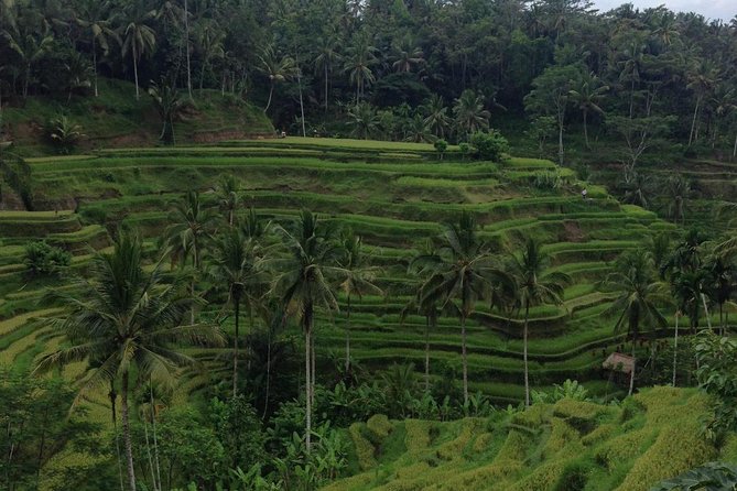 Favorite Sites of Ubud Daytrip - Celuk, where Bali’s silver work comes alive