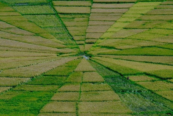 Flores Overland Tour - Crossing Flores from Maumere to Labuan Bajo