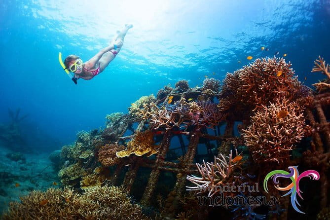 Fly Board Experience in Bali - Optional add-ons for a fuller water day
