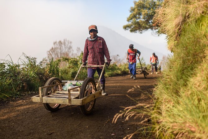 From Bali : Bromo & Kawah Ijen – 3-Day Adventure - The people who make a complex route manageable