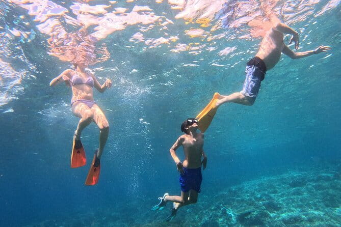From Bali: Nusa Penida Full Day Tour and Snorkeling - Why this Nusa Penida day trip works
