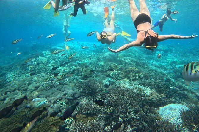 From Bali: Nusa Penida Full Day Tour and Snorkeling - Broken Beach and Angel’s Billabong