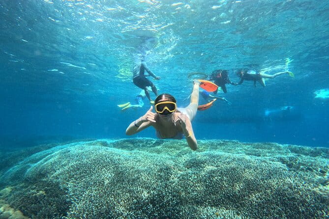 From Bali: Nusa Penida Full Day Tour and Snorkeling - Crystal Bay, an easy start to the water time