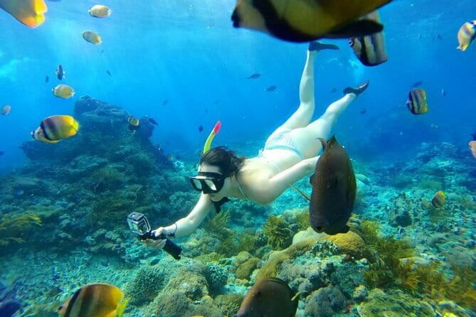 From Bali: Nusa Penida Snorkeling and Island Tour - What $142.50 covers