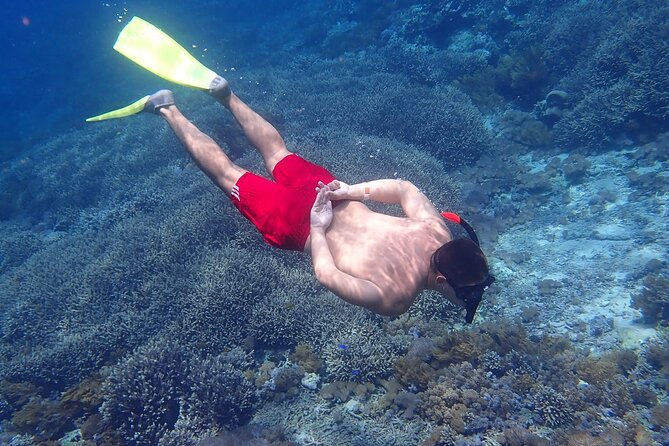 From Lembongan: Snorkeling Day Trip to Nusa Lembongan & nusa Penida island - The morning start from Jungut Batu