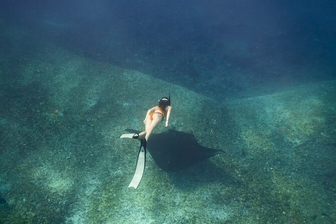 Full-Day Adventure Tour to komodo Island with join Speed Boat tur - Pink Beach offers a gentler hour in the water