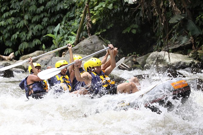 Full-Day Ayung River White Water Rafting and Ubud Tour - Lunch provides a useful pause