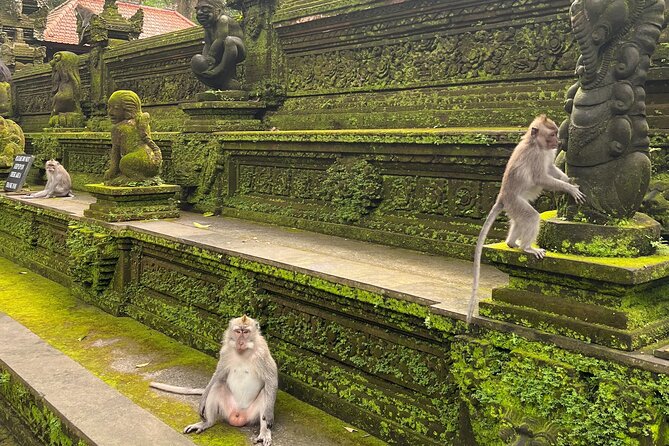 Full Day Best of Ubud Private Tour - Tirta Empul offers a look at living ritual