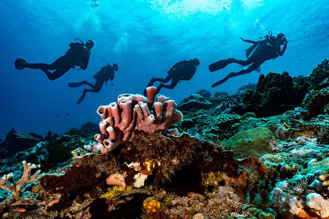 Full-Day Discover Scuba Diving Tour for Beginners in Tulamben - A proper break at the scuba center