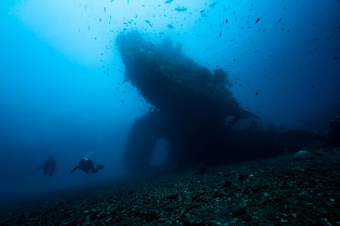 Full-Day Discover Scuba Diving Tour for Beginners in Tulamben - Who should choose this day