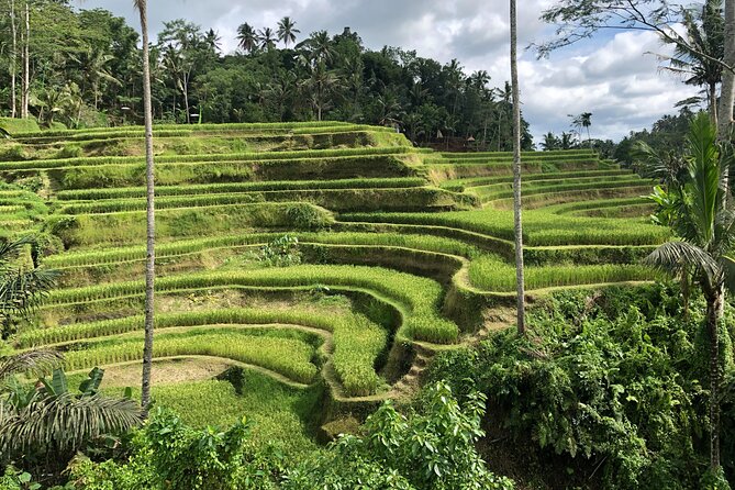 Full-Day Highlights and Best of Ubud Village - Tegenungan Waterfall and the first set of steps