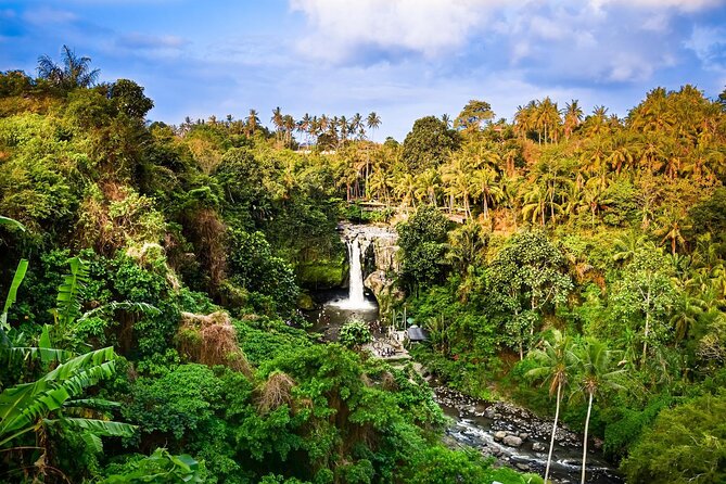 Full-Day Highlights and Best of Ubud Village - Tirta Empul and Bali’s holy spring tradition