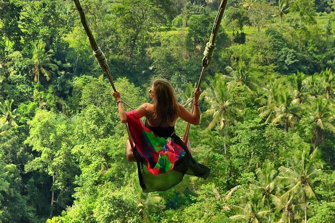 Full-Day in Bali: Private Design-Your-Own Tour - Why a custom Bali day can work so well
