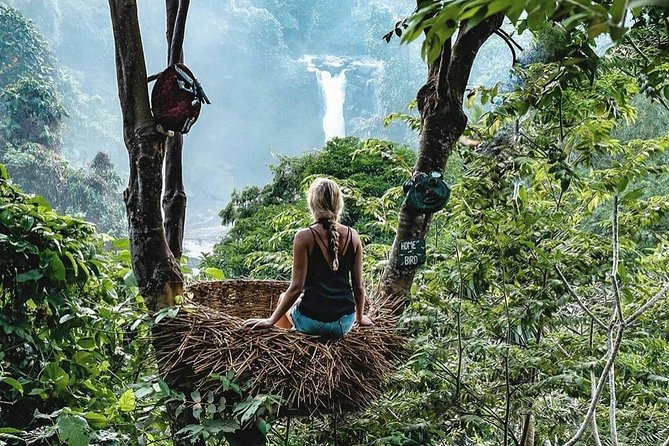 Full-Day in Bali: Private Design-Your-Own Tour - Mountain and west coast choices