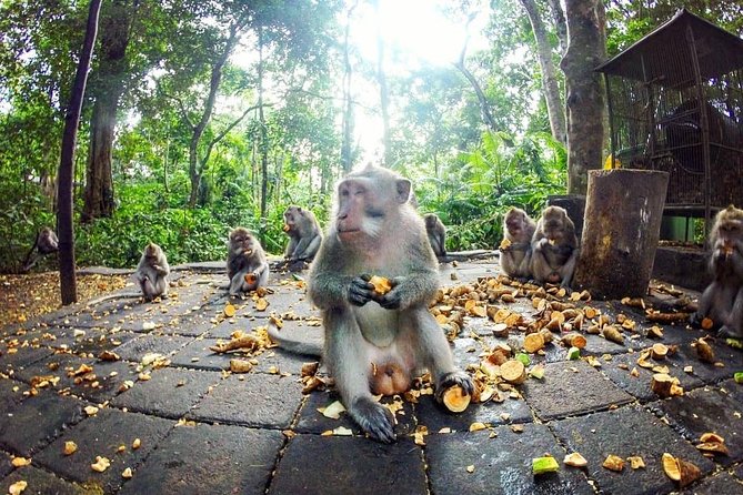 Full-Day in Bali: Private Design-Your-Own Tour - Your driver can make or break the day
