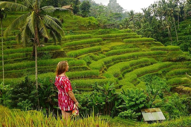 Full-Day in Bali: Private Design-Your-Own Tour - What the $35 price really covers