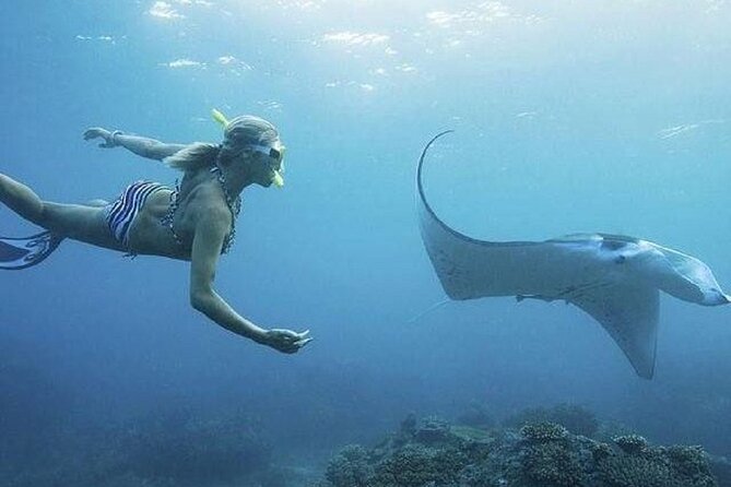 Full-Day Island-Hopping Tour from Bali - Group size and communication matter