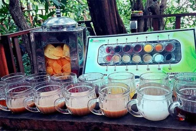 Full Day Kintamani and Penglipuran Village Private Chartered Car Tour from Bali - What $65 really gets you