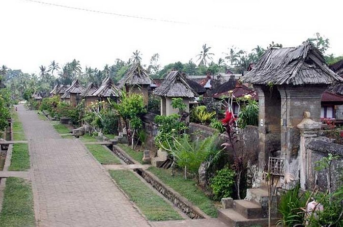 Full Day Kintamani and Penglipuran Village Private Chartered Car Tour from Bali - Private touring helps, but ask for the pace you want