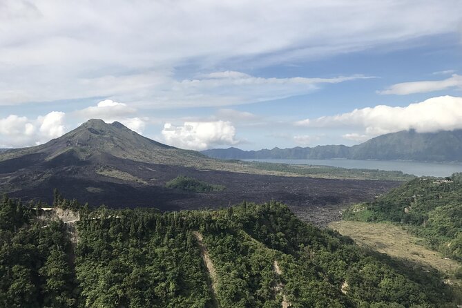 Full Day Kintamani Volcano View and Ubud Village Tour - Tegalalang Rice Terrace: the classic Bali view