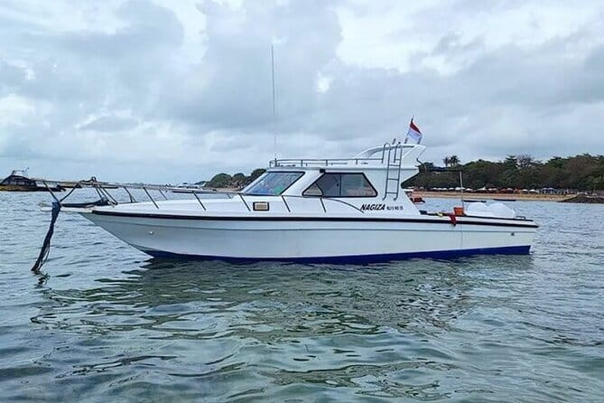 Full-Day Nusa Penida Island with Snorkeling from Bali - From Sanur to Nusa Penida by fast boat