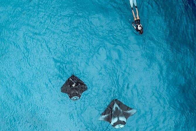 Full Day Nusa Penida Manta Point Snorkeling and West Island Tour - Broken Beach, a natural arch over the sea