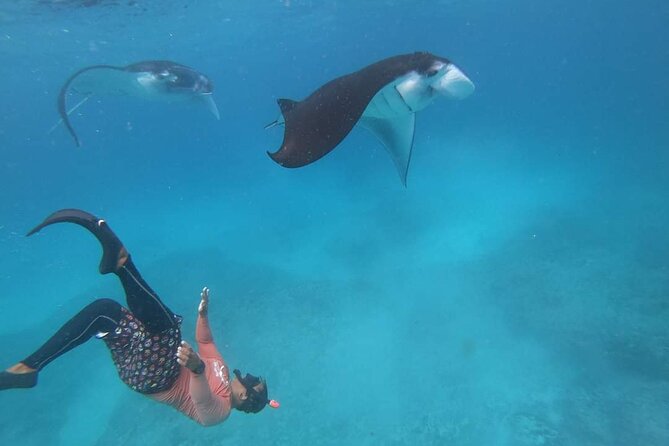 Full Day Nusa Penida Manta Point Snorkeling and West Island Tour - What the transport package really saves you