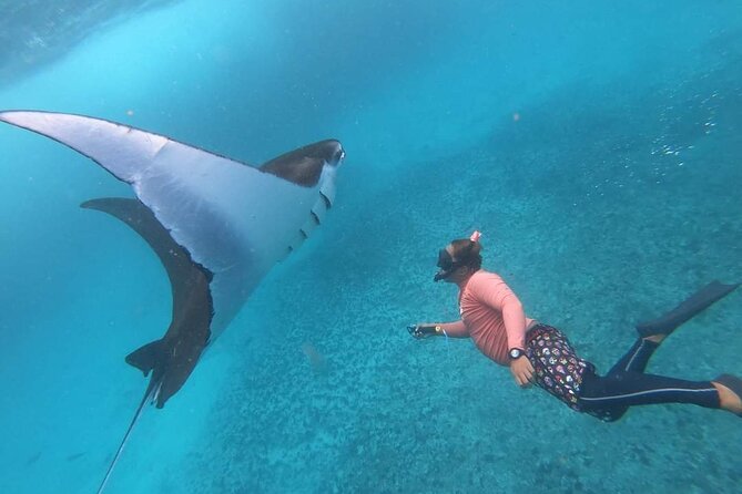 Full Day Nusa Penida Manta Point Snorkeling and West Island Tour - Getting from Seminyak to Manta Point