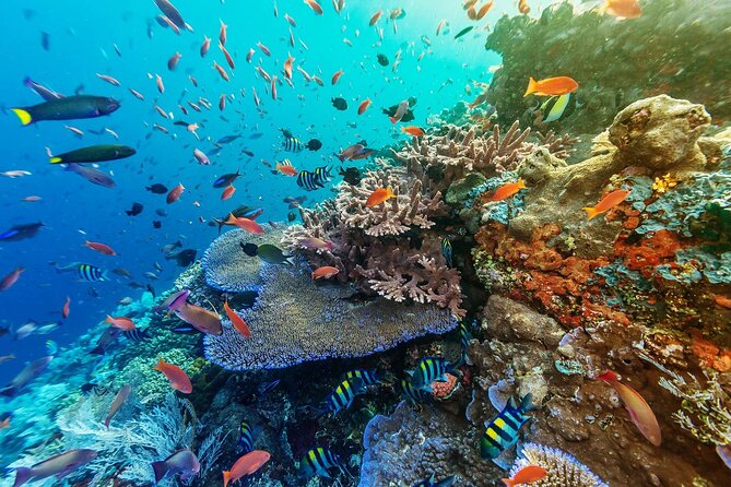 Full-Day Nusa Penida Snorkeling Adventure from Bali - The day’s main drawbacks