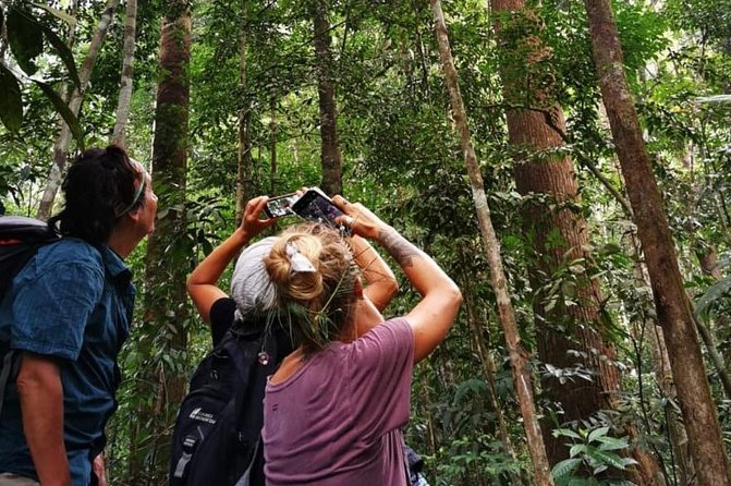 Full-Day Orangutans Adventure in Gunung Leuser - Banana-leaf fried rice at midday