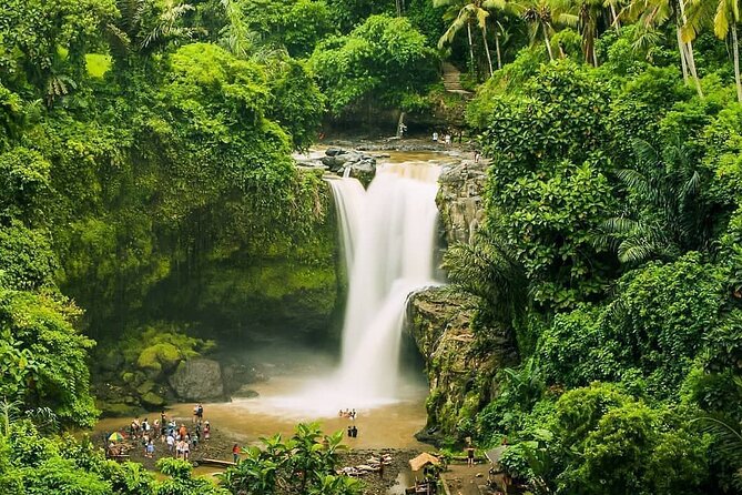 Full Day Private Guided Tour in Bali - Tegalalang Rice Terrace: the most photographed view