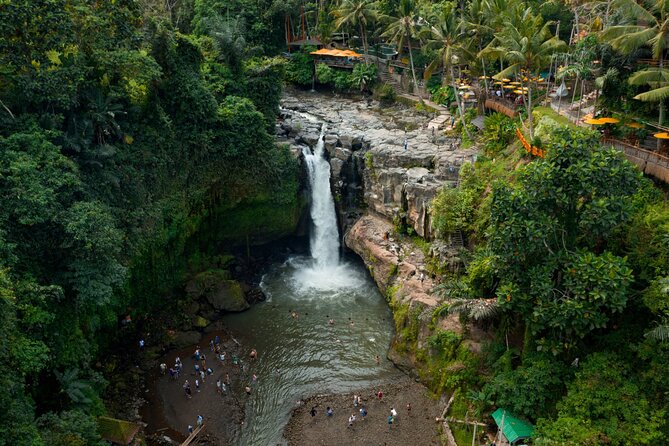 Full Day Private Guided Tour to Bali - Tegalalang Rice Terrace shows Bali’s working countryside