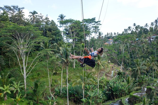 Full Day Private Guided Tour to Bali - Optional Ubud stops work best with a clear priority list