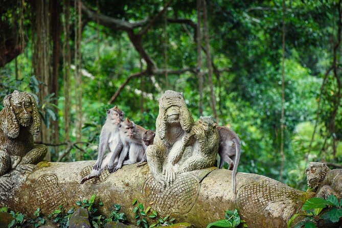 Full Day Private Guided Tour to Bali - Your driver-guide can shape the day