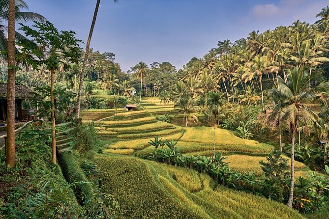 Full Day Private Guided Tour to Bali - Tegenungan Waterfall begins the day with scenery and stairs