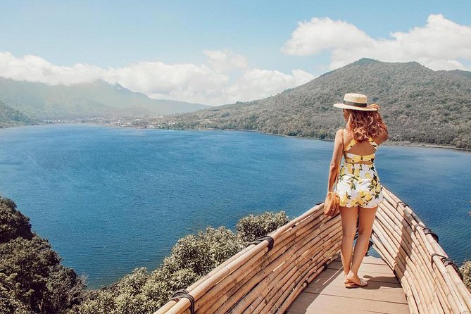 Full-Day Private North Bali Tour with Free WiFi - What the private driver adds to the experience